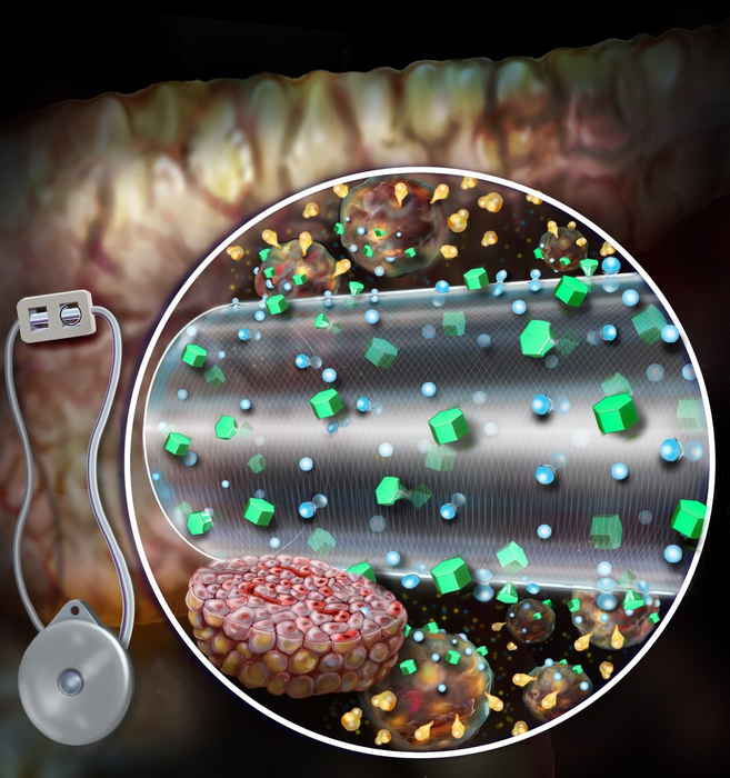 convection-enhanced macro encapsulation device- showing nutrient transport to encapsulated cells in a cell chamber