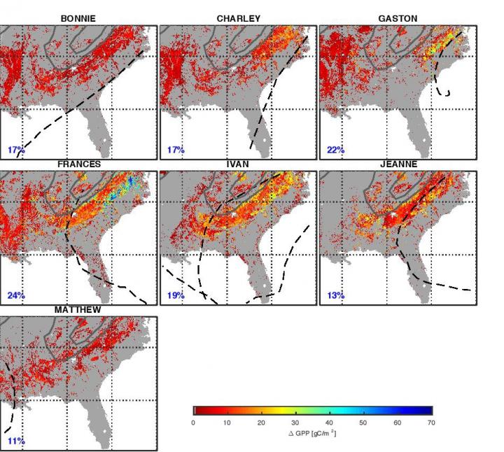 Single Hurricane Activity