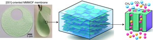 Designing the perfect membrane for clean separation