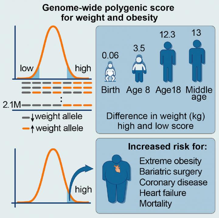 Score Predicts Obesity Risk