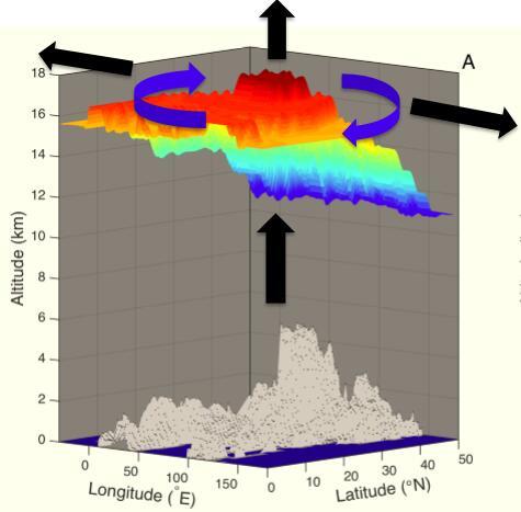 Asian Summer Monsoon