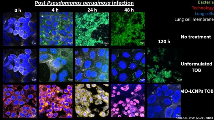 Effect of nano-enhanced drugs on Pseudomonas aeruginosa infection