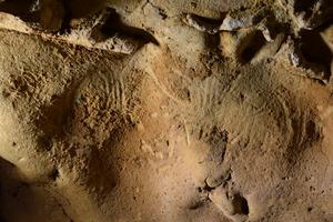 The earliest unambiguous Neanderthal engravings on cave walls: La Roche-Cotard, Loire Valley, France