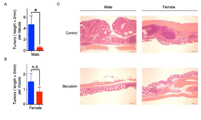 Figure 3: Results of Baicalein Inhibiting Colon Tumors in Mice Models