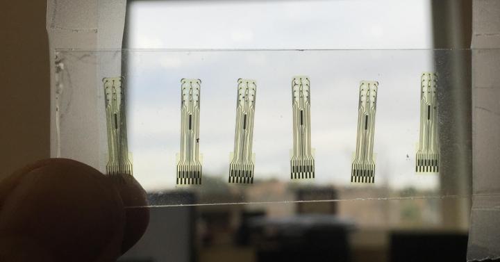 Sheet of Patterned Electrodes in Chips