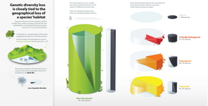 Linking habitat loss to genetic diversity loss