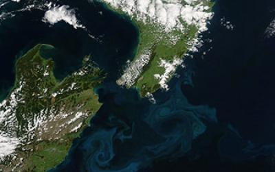 Aerial Image of Blooms of Phytoplankton Forming Sea-Swirls near New Zealand Coast