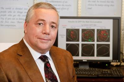 Dr. Habib Zaghouani, University of Missouri School of Medicine