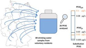 Graphical abstract.