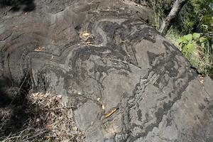 An example of stromatolites investigated in the study found in the Cheshire Formation of the Belingwe greenstone belt, Zimbabwe. Photo credit: Professor Axel Hofmann