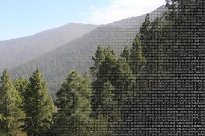 Big Data in Biodiversity Research