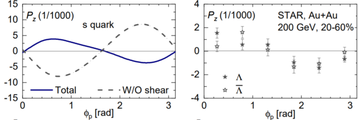 left: the theoretical calculation for strange quark polarization that includes the SIP effect (solid) or does not include the SIP effect (dashed); right: Lambda polarization measured by experiments.