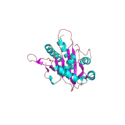 Structure of UL89 Protein