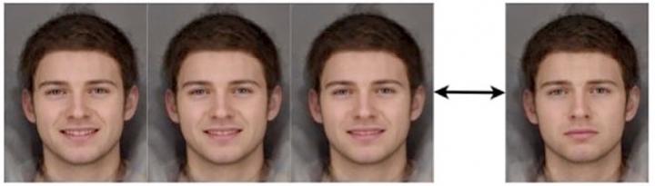 Facial Interpretation