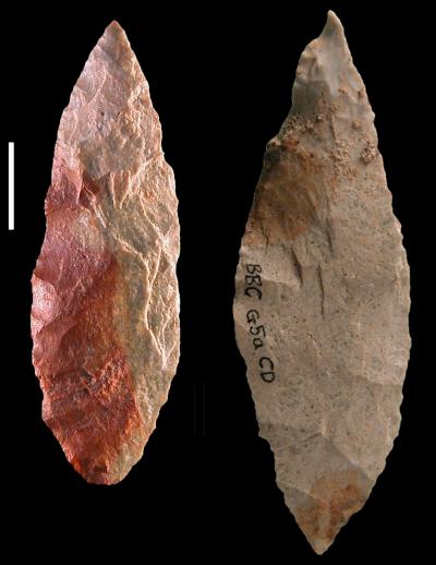 Blombos Still Bay Points