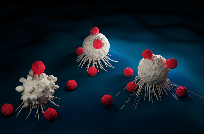 Engineering CAR T cells to deliver endogenous | EurekAlert!