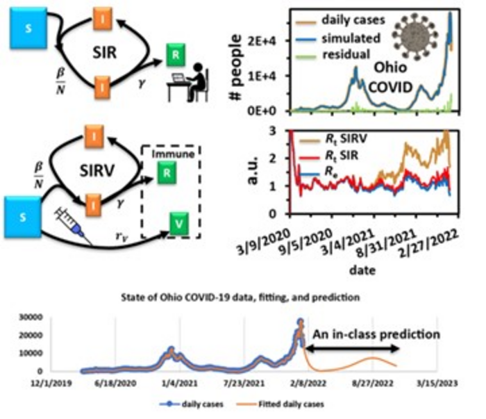 Graph of predicted daily COVID cases