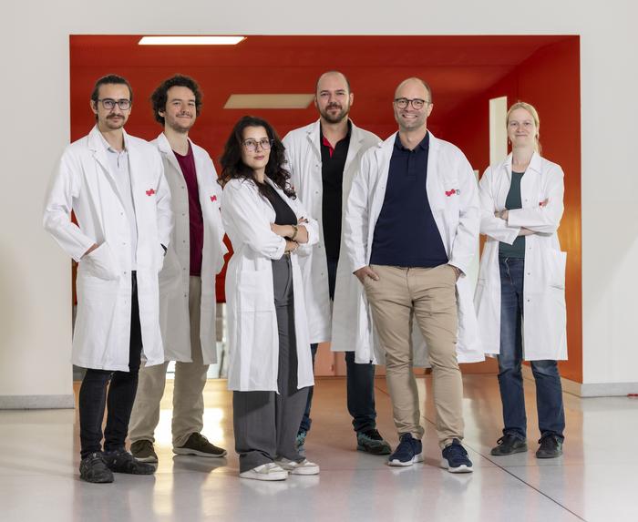 The Team of the CD Lab for New Semiconductor Materials Based on Functionalized Hydrosilanes: Matthias Paris, Daniel Grieß, Madeleine Heurix, Thomas Lainer, Laborleiter Michael Haas and Monika Filzwieser.