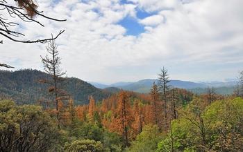 Scientists Have Found Underground Water Reservoirs That Can Mitigate Drought Effects