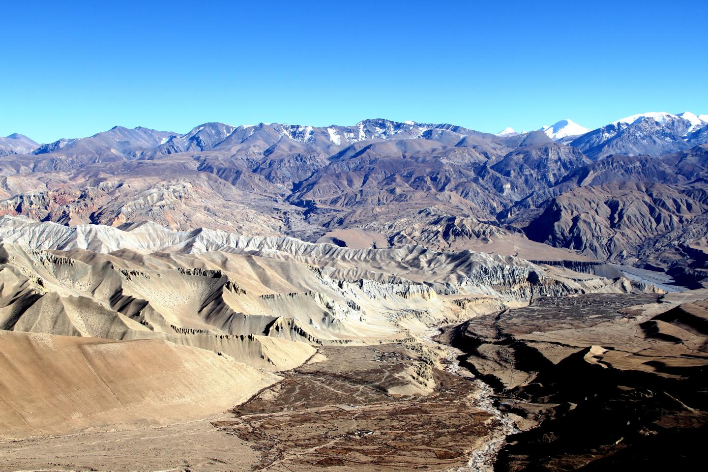 Himalayan Wolf Habitat