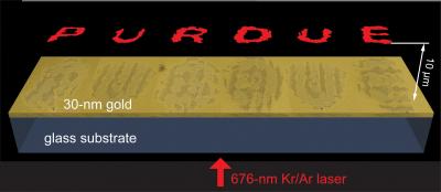 Kildishev Hologram (1 of 2)