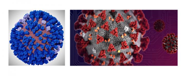 Influenza/Coronavirus Simulations