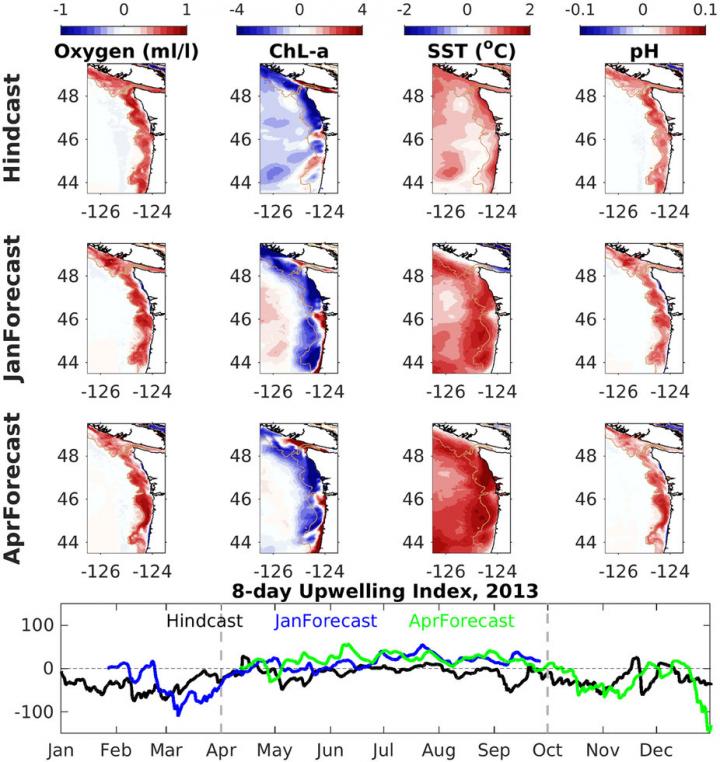 Seasonal Ocean Forecast