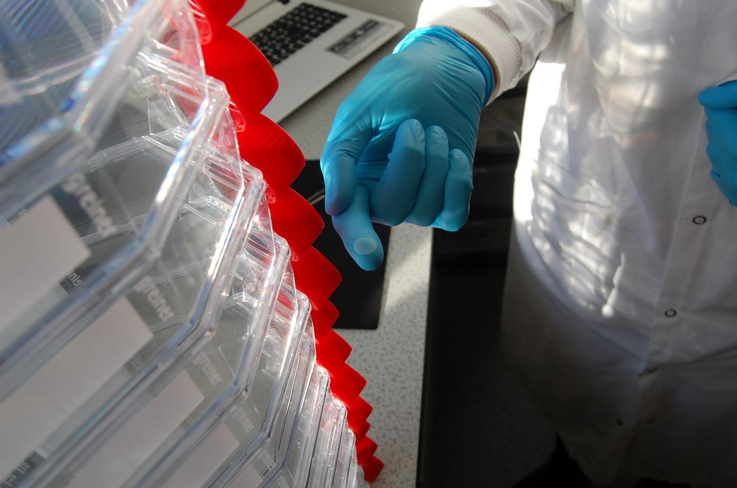 Comparison of New Technique and Old