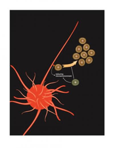 Regulating Immune Cell Chatter
