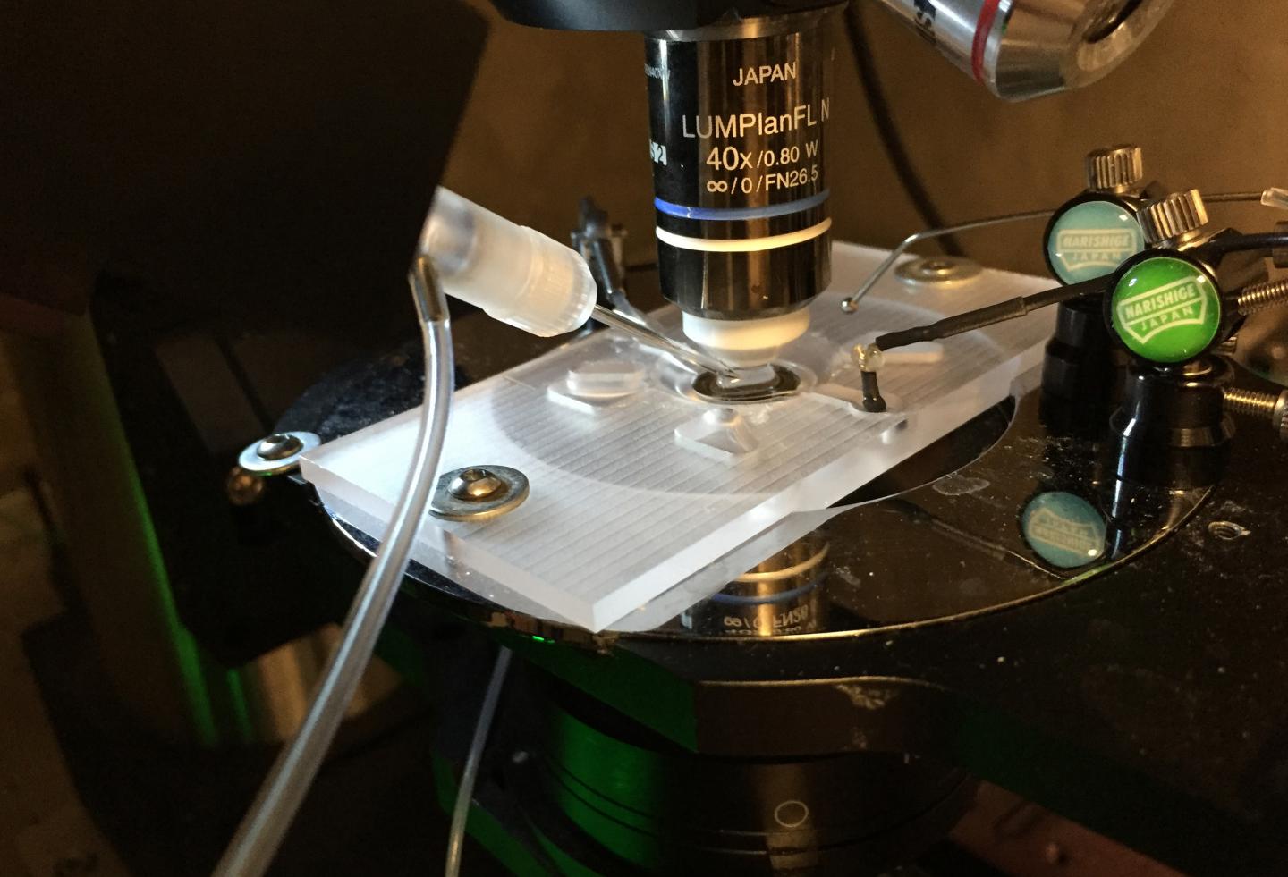 Patch-Clamping Equipment2