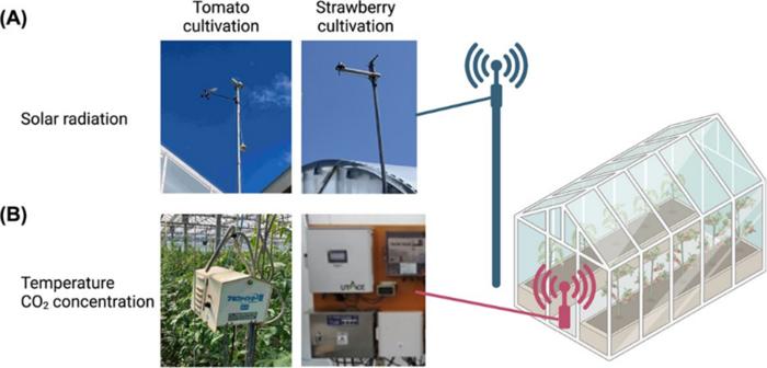 Environmental monitoring system in strawberry and high-wire tomato cultivation greenhouse.