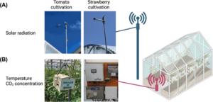 Environmental monitoring system in strawberry and high-wire tomato cultivation greenhouse.