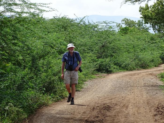 Heavily invaded area near Moshi in Tanzania.