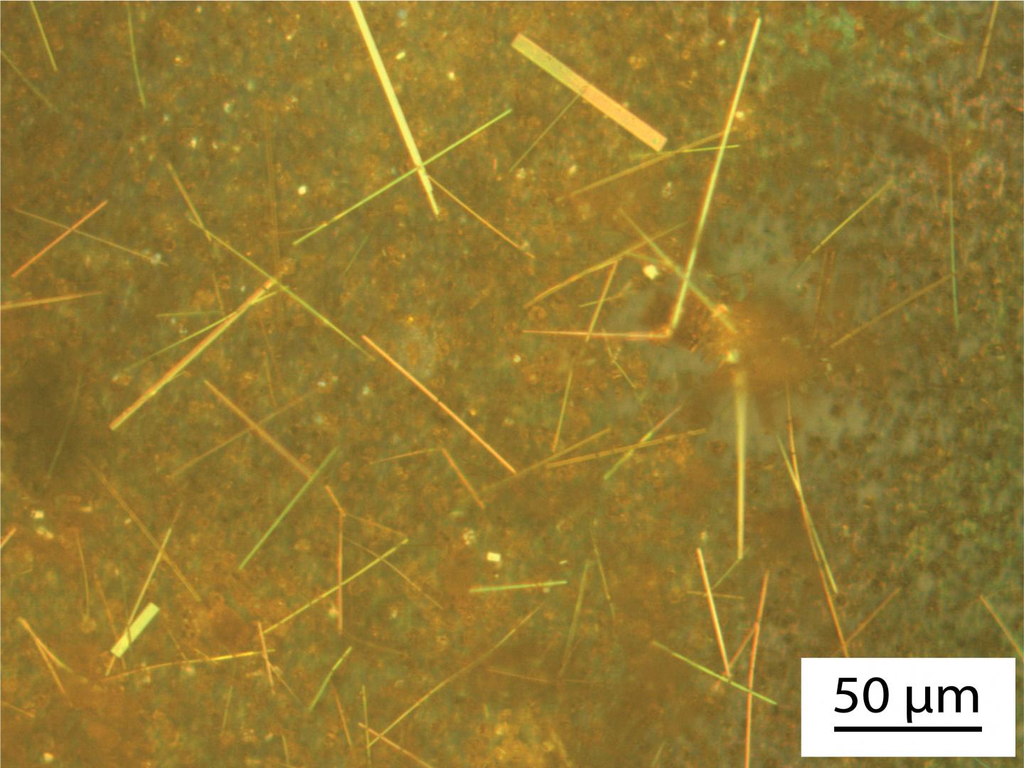 Nanowire Crystals (1 of 2)