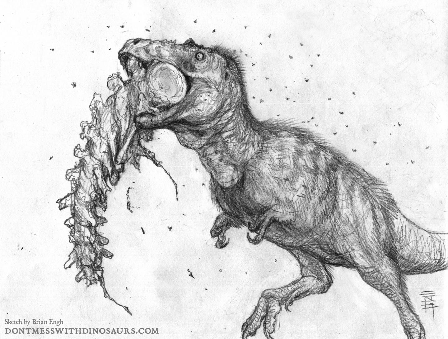 A Juvenile <em>T. rex</em> Munching on the Tail of a Dead <em>Edmontosaurus</em>