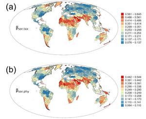 GEOGRAPHIC PATTERNS OF TAXONOMIC