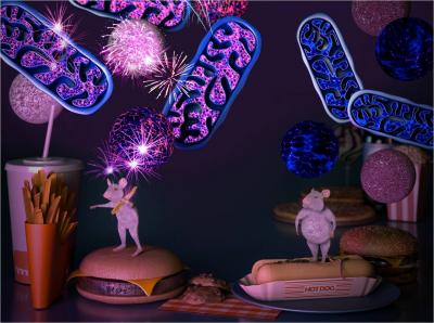 Fighting Fat with Fat