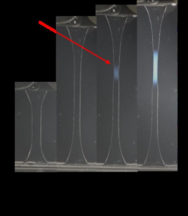 A double network hydrogel being stretched to different lengths