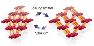 Molecular sponge