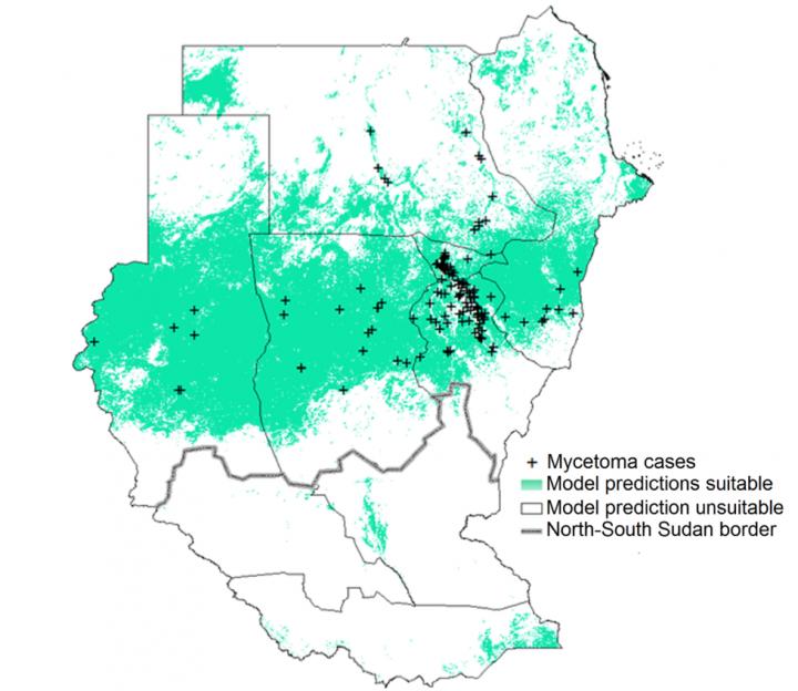 Mapping Mycetoma in Sudan and South Sudan