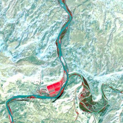 Satellite View, After Tamarisk Defoliation