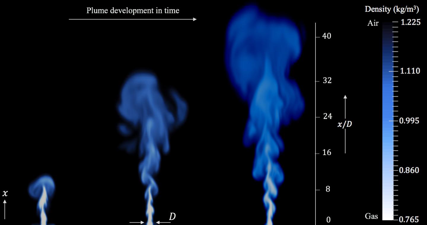 Plume Development in Time