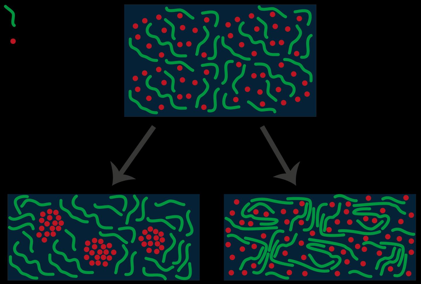 Co-Solvent on the Solution of 2 Plastic Components