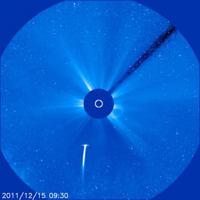 Comet Lovejoy on a Coronograph