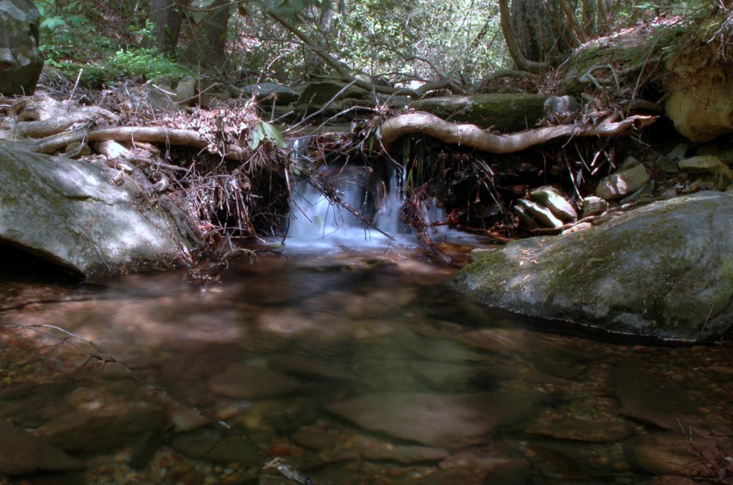 Stream in Smoky Mountains of Tennessee