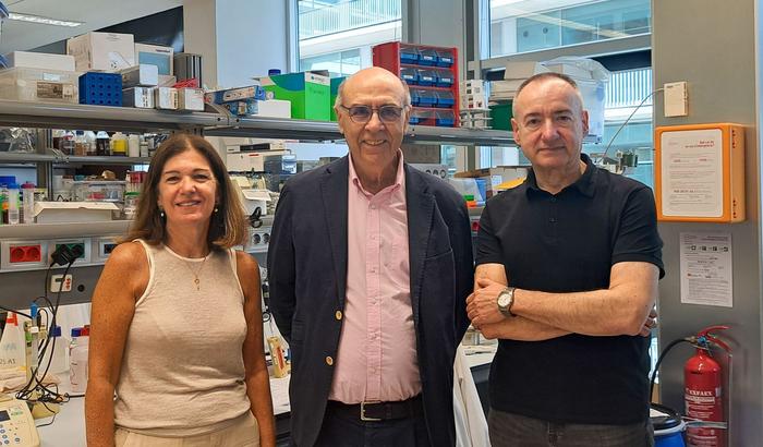 UPF professors involved in the coordination of the VICT3R project