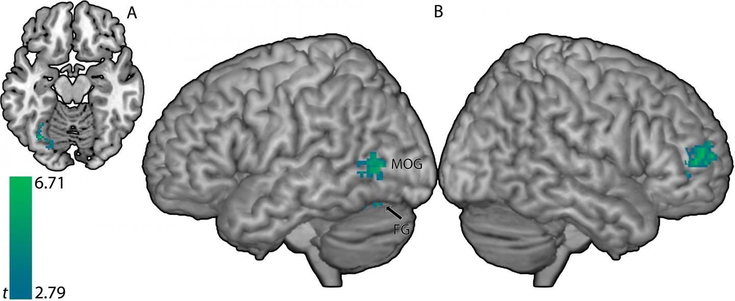 Concentrating on Word Sounds Helps Reading Instruction and Intervention