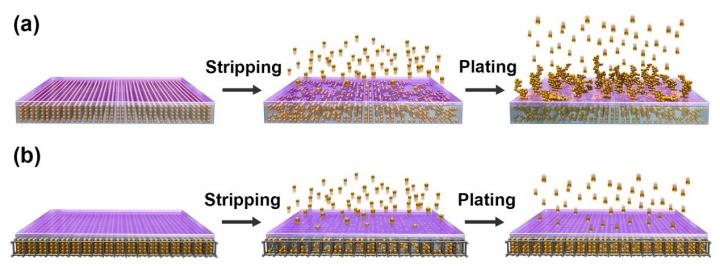 Lithium-Matrix Composite Anode Protected by a Solid Electrolyte Layer for Stable Li Metal Batteries