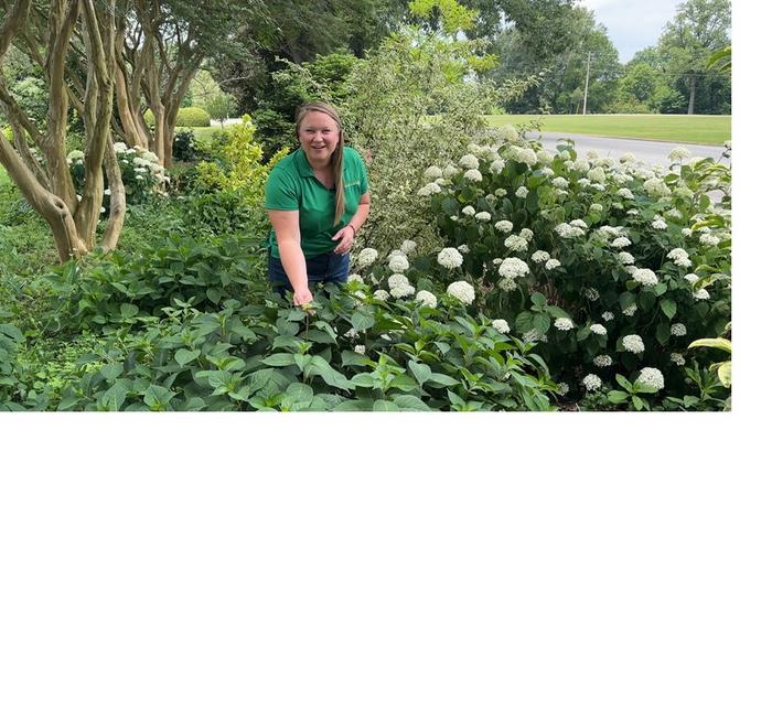 Celeste Scott, West Tennessee AgResearch and Education Center