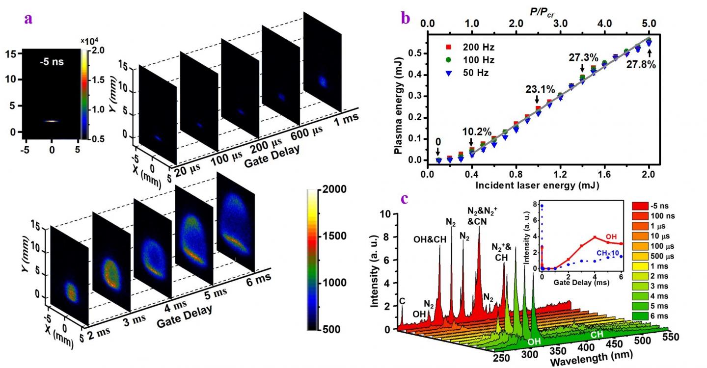 Figure 2| Dynamics, energy deposition and time-resolved spectra of fs-LI.